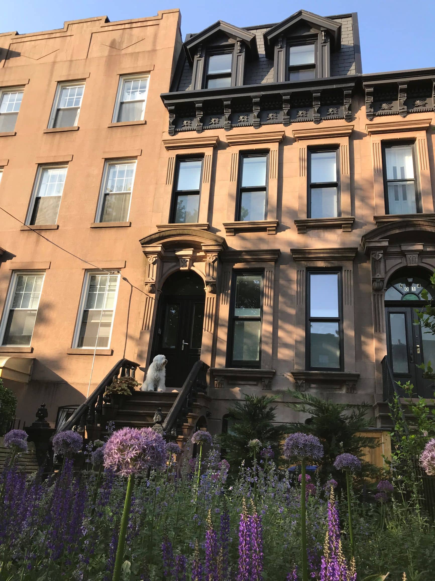 Fullscreen Gallery Image